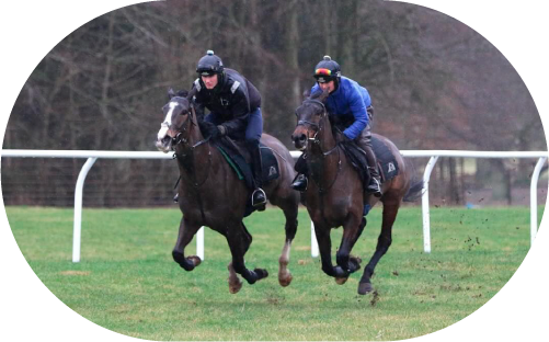 Tom Ellis Racing Grass Gallops