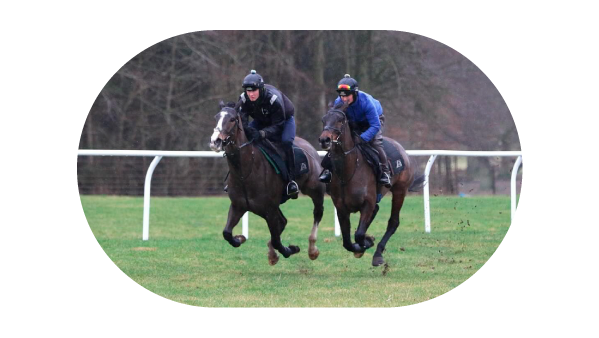 tom-ellis-racing-grass-gallops-2